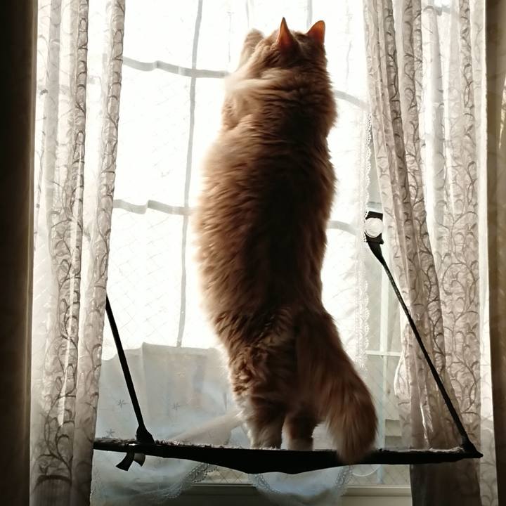 98150860 5b6c 41ee 860a 81eab2ffe45f 1551495790187