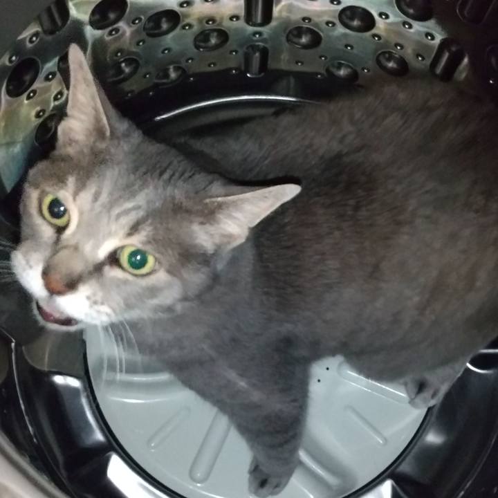 98151f4f 5010 4192 b083 550abee7fa45 1621514075219