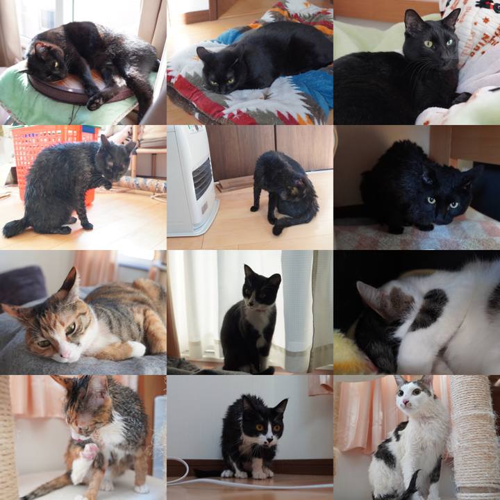 98153976 c559 44e7 823f fd302a1a871f 1609072471986