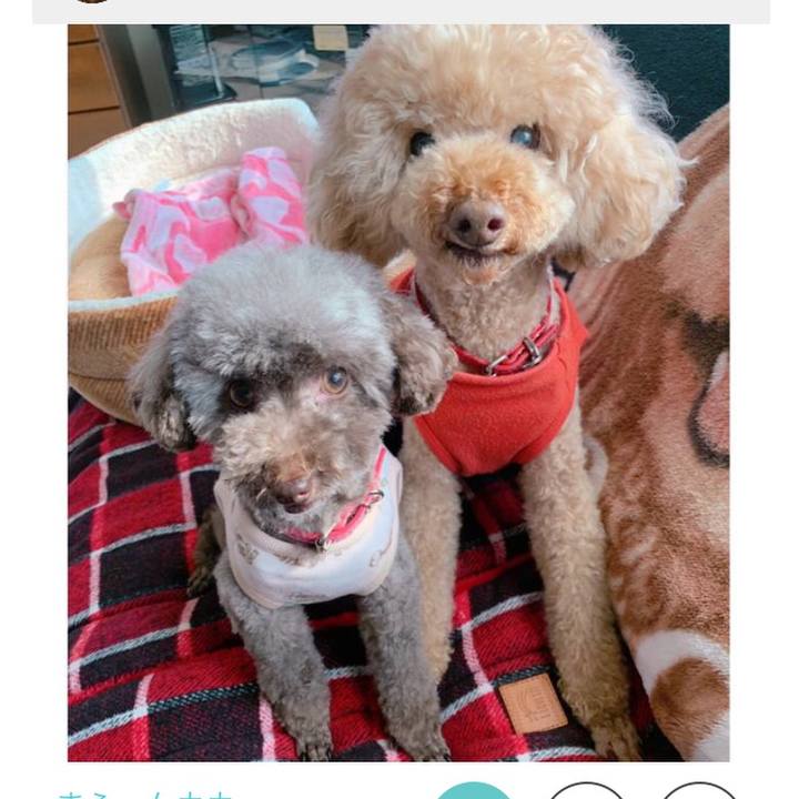 981550dd 724a 4b9c 8f52 20008ae1df75 1647258225125