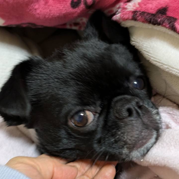 98158c90 a200 4dc3 87dd d73f32991005 1766755731088