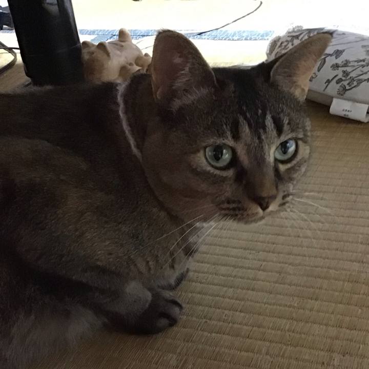 9815cf1a 5fb1 4419 b3fe 308199a091cd 1723282174859