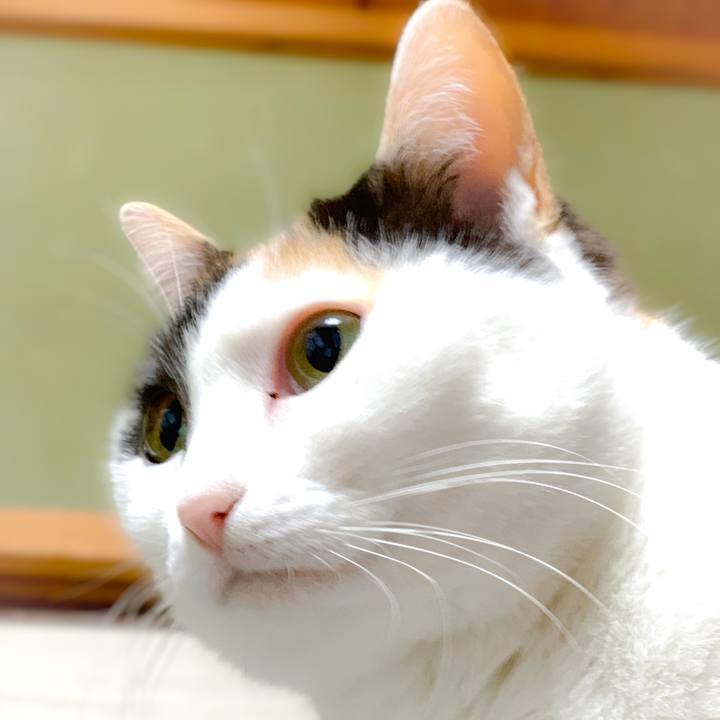 9816594b abbe 4e59 bf00 b3b71505be61 1556588369791