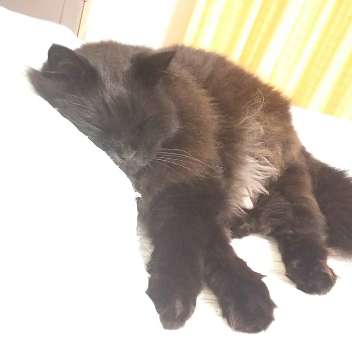 98166884 f4f3 4905 aae1 c209bf7a2bd6 1562509426855