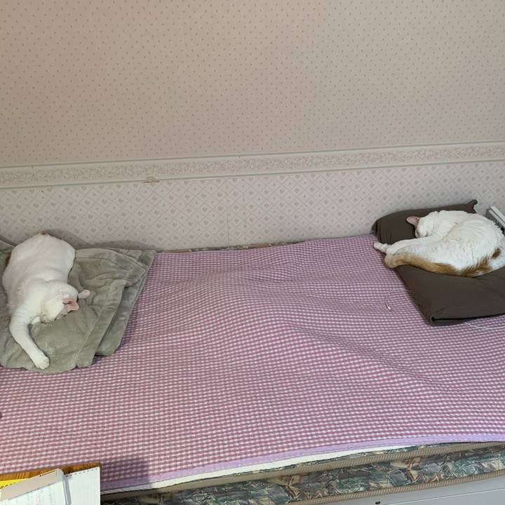 9816be17 e4a3 4443 89b0 ed120b4540ae 1634364386864