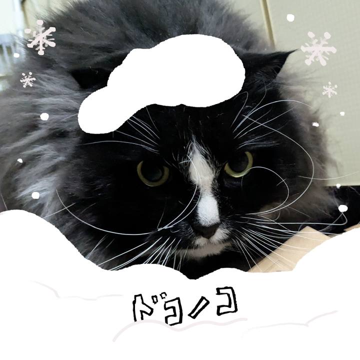 9816bfd0 6a95 4205 bc99 8b6b898b3d72 1771882404629