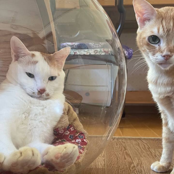 9816c4fd dca6 4d6c ab9e 15e170a359e7 1669646767418