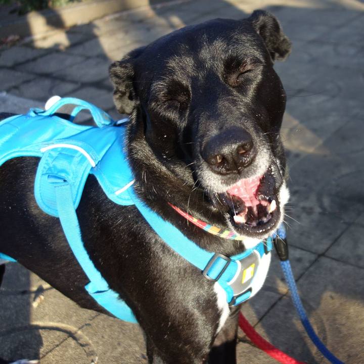 9816e066 9e33 40b6 85d3 0bbad9848c8f 1613519579436