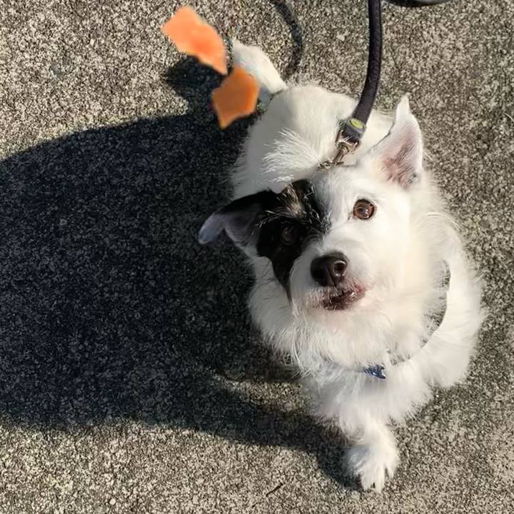 98170e06 71e7 4719 a3e4 5d2bd6975afd 1727824710644