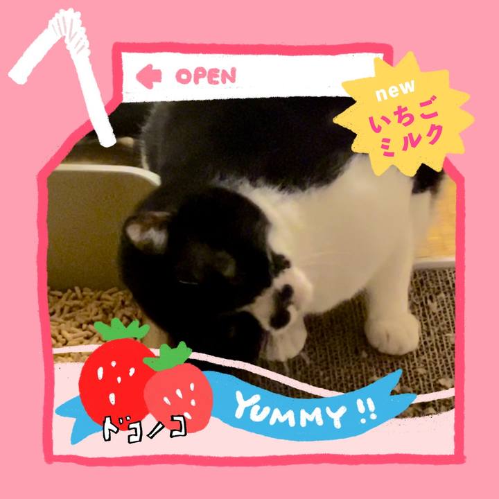 98171c43 f32a 4216 9b71 f135f2a39509 1711200827817