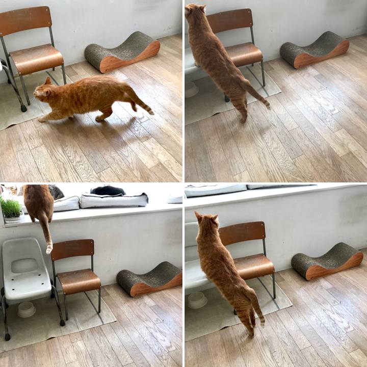 98173cb5 d0f3 4064 b09b d35c0d995880 1522746197495