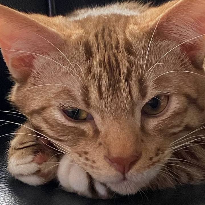 981760ec 2384 441b ab82 9e095cd02ec0 1674946817968