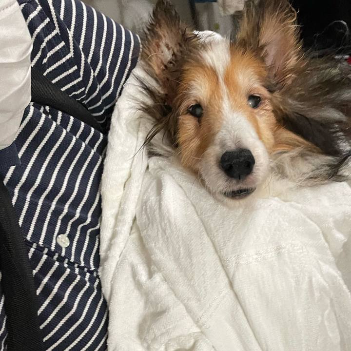 9817e6b1 dac5 477e af96 c9a810a007ab 1664284407982