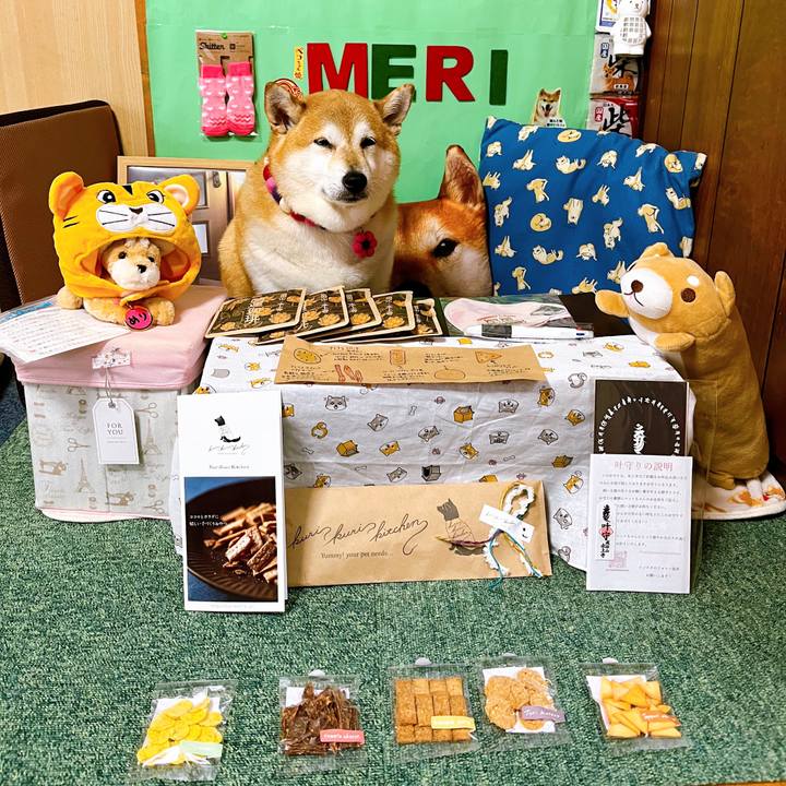 9817f969 d8b4 4b79 b023 34b132655173 1655541053607