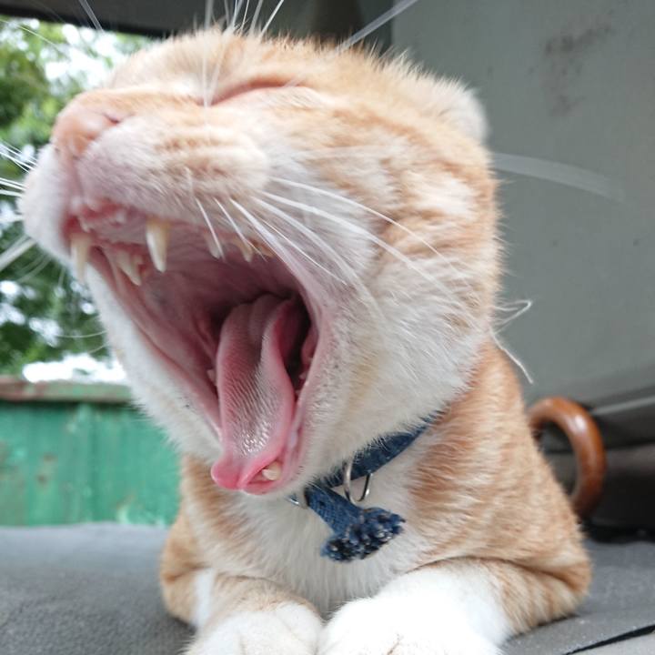 98182d02 45dd 4c42 9373 f682101052e6 1563699763707