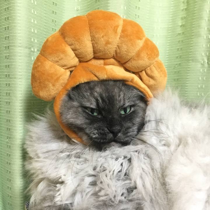 98185d4e db79 43a8 8d6f dfda6a6738a5 1507812669928