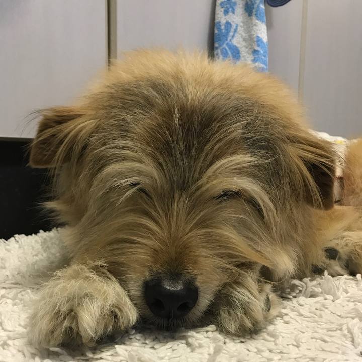 9818aede aa34 45d1 9b56 cf8fe1988294 1617145527784