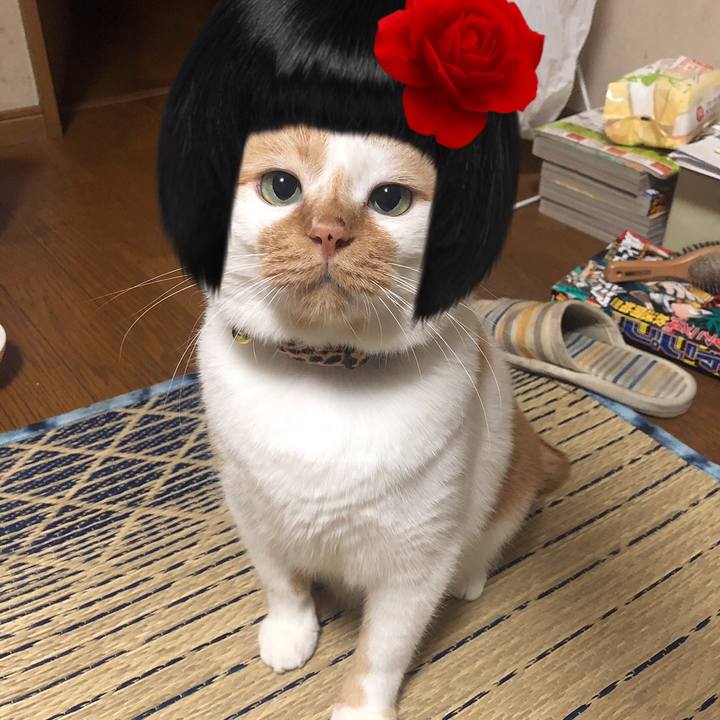 9818b81f 12e6 4916 8739 958f88e9536a 1571984980709