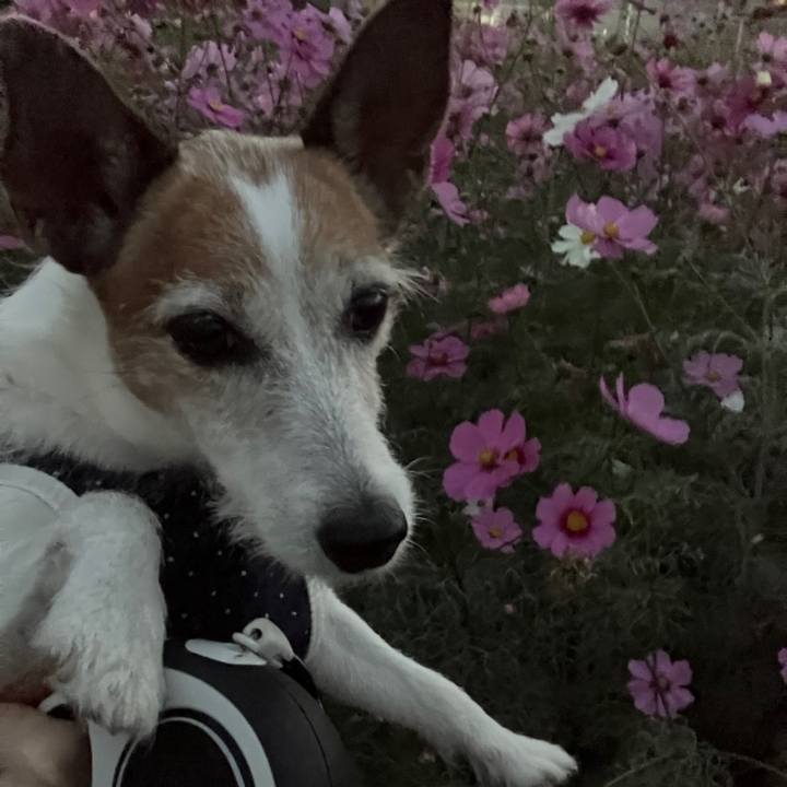 9818bb35 a974 4090 8809 bbbe486015fb 1699312961943