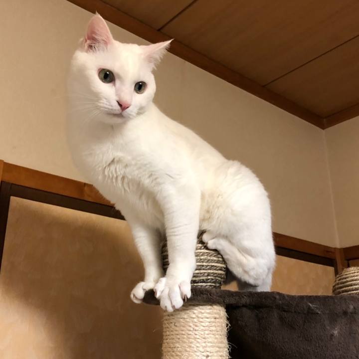 9819175c c5e1 4cdf b814 59584b4f6e4c 1558426360501