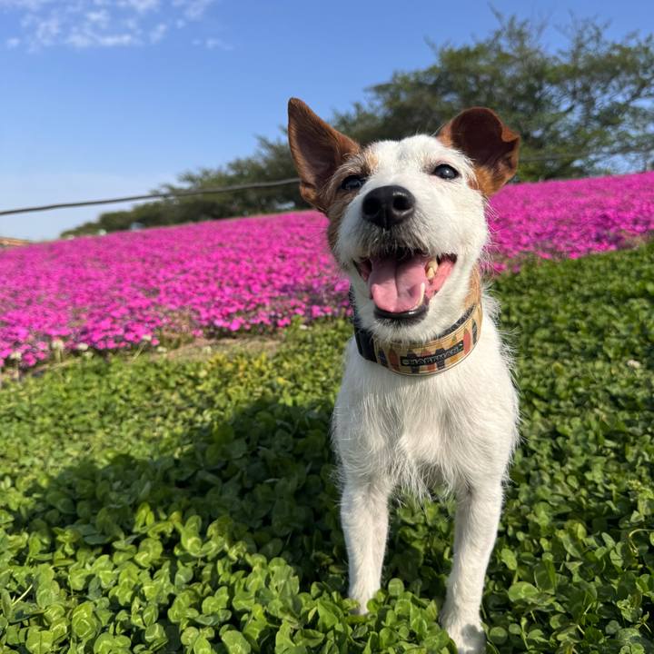 9819b323 59a6 4000 b477 b54f4e5ba278 1776903673443