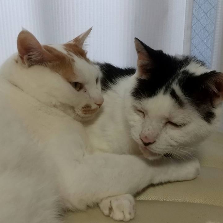 9819bd23 99a5 4a68 a683 d9e381ce01c9 1724827659679