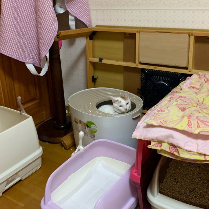 9819bde8 4771 4a2a 9310 e894259d8927 1565446318785