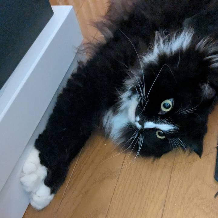 981a0bc0 ac8a 46e4 85b8 5d44e73c0db5 1754690053030