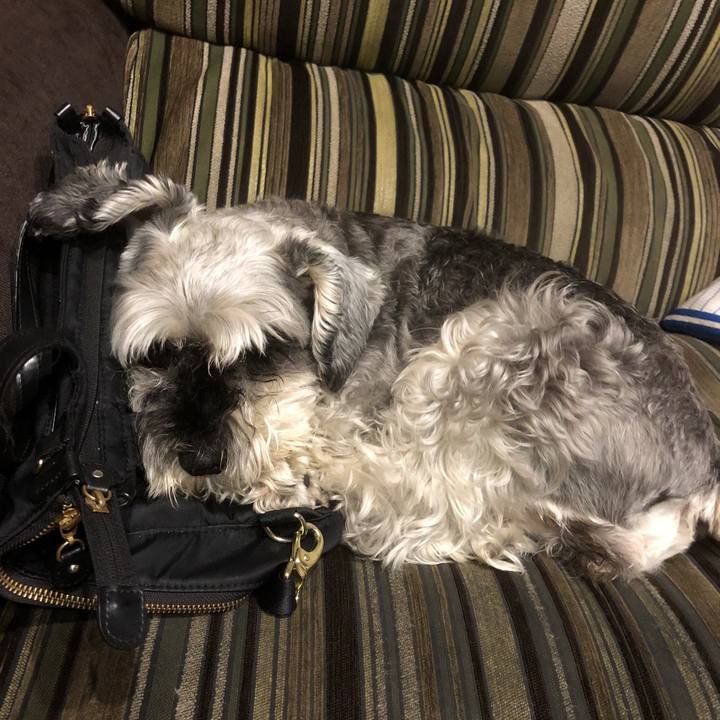 981a1dd1 a43d 4036 94d1 7cedcec76917 1566294858072