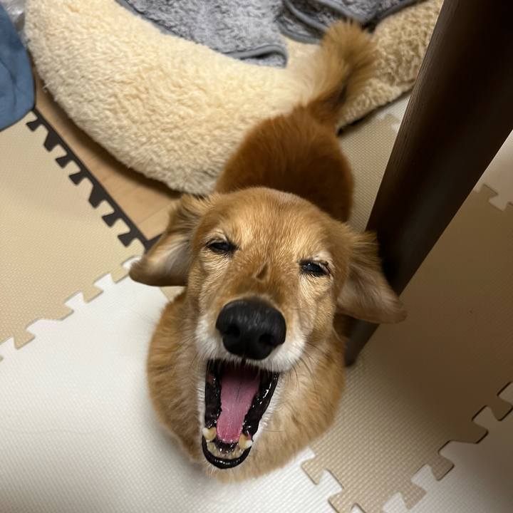 981a4214 c861 49c3 be16 763da65d2faf 1643377113825