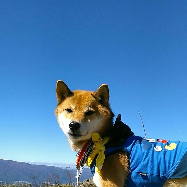 981a4db9 b0b5 432e b9a4 cbcfe63b5338 1540782748759