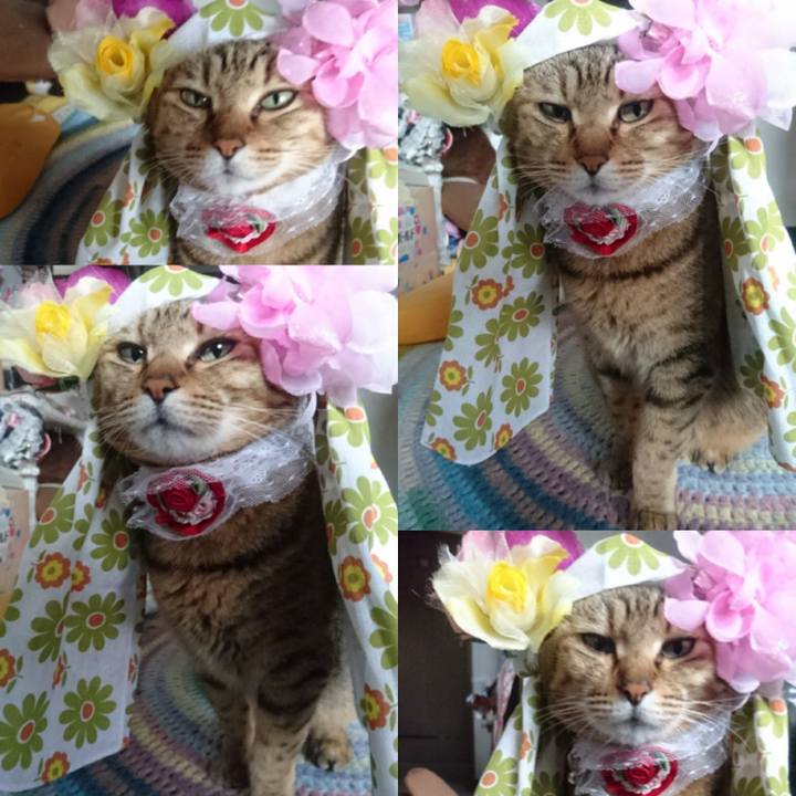 981a83f4 79ba 4364 ac35 eee2bd3d8a6c 1758157654187