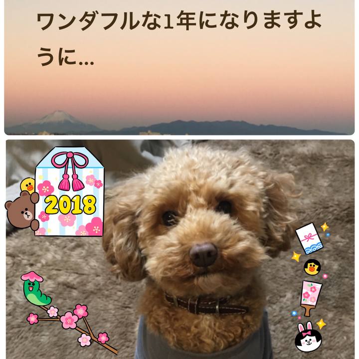 981ab292 4bea 471b b075 c43a80fd4bcf 1514759974935