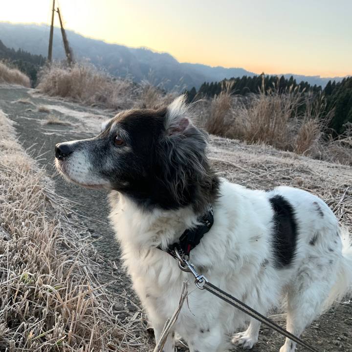 981ab30f 0cbe 4ac3 9ae9 9e1363b1141b 1578046225799