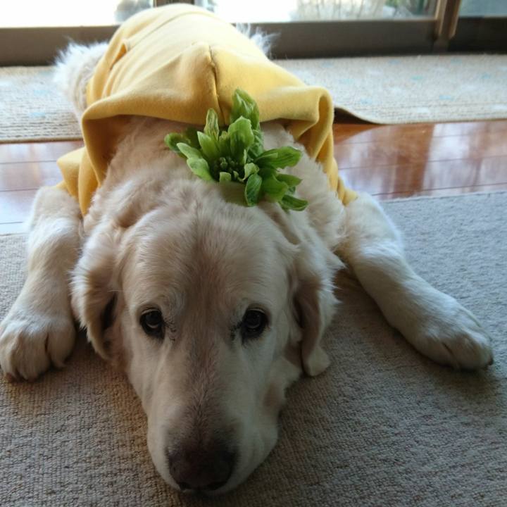 981ab6d8 4319 4870 8bfd 5cb0bbf26df2 1549871123225