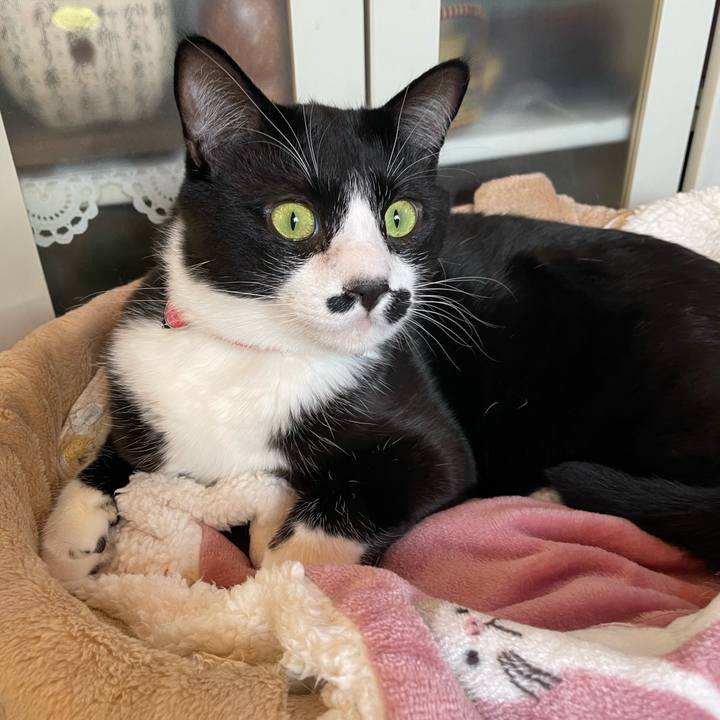 981ab963 c03a 44af 97b3 2a7c2f84815d 1676328135829