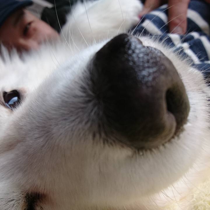 981abdf5 724d 48d0 829b 6e8c471d5162 1550287558090