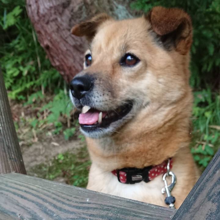 981ad5e8 7849 40c2 98e9 410837656fbe 1567327111545