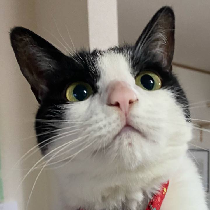 981afc38 1c41 4d14 bb57 811c208eb017 1683942566849