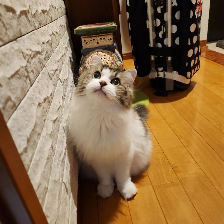 981b4f60 9aa0 4237 9b3e 35dc6ae3ea22 1727826602784