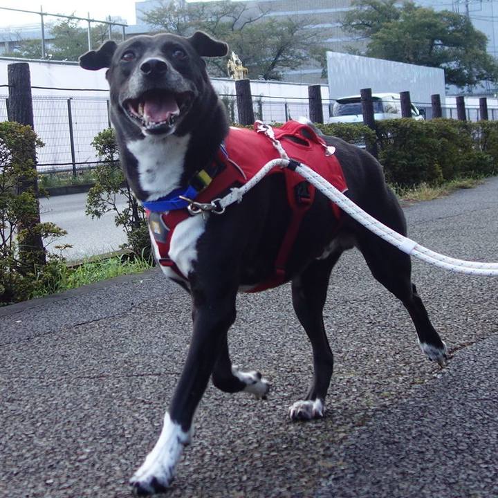 981b8787 4b9b 4c08 bcd8 864100663310 1666140819658