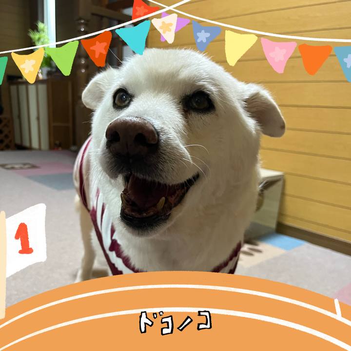 981ba597 8fb9 4890 a594 e1c73affc713 1763771870200