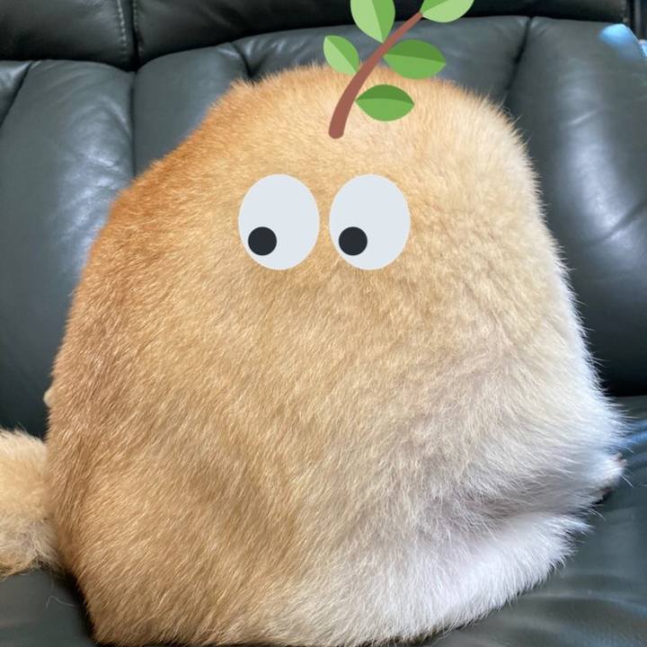 981babfc b013 4d70 835f bf294ed87ff6 1633169928845