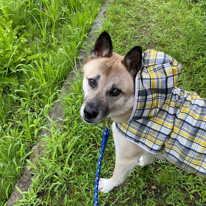 981bc2d1 99f0 4309 8e4a 5a8cb0c27155 1718713526584