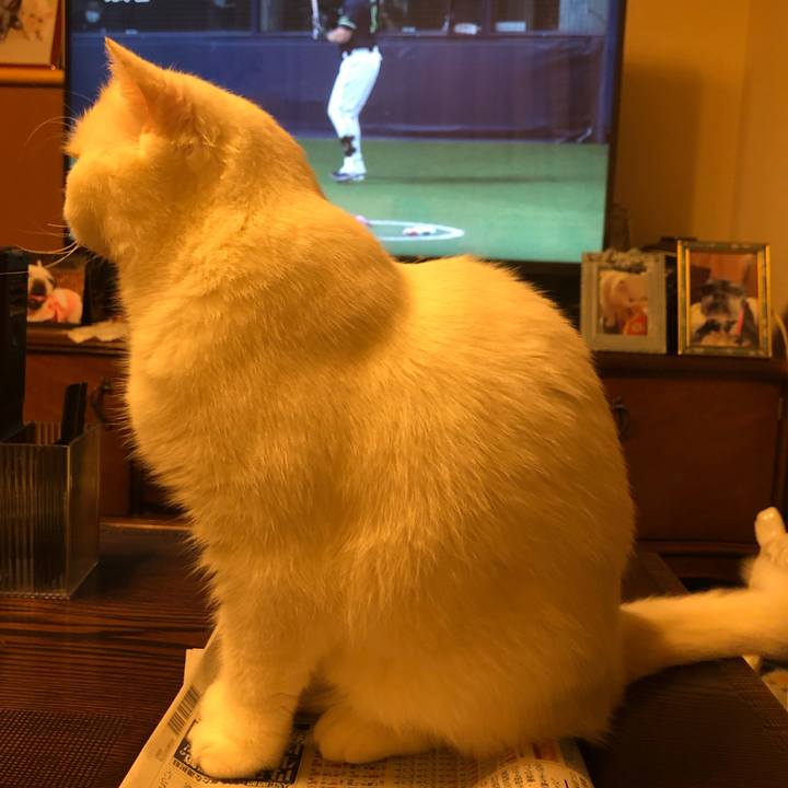 981bc4c4 9719 4c71 9d30 f86744055773 1666869675742