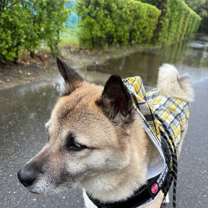 981bedf4 d060 4d9a 8fcb 6fd988673145 1748954661303