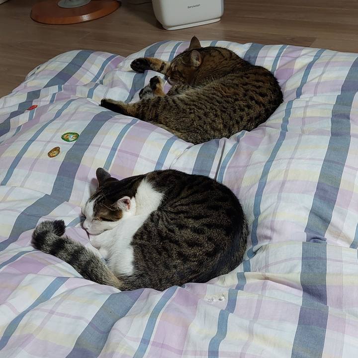 981c122d 64c7 4f10 bb77 dd1997899422 1673612931146