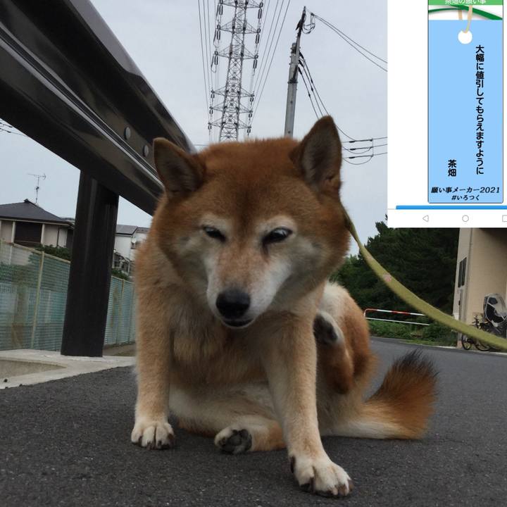 981c1567 8e87 487b a5e7 21ae3cc94a17 1625653025689