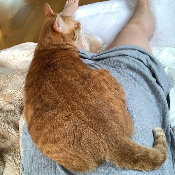 981c2234 b6f4 49dc a122 91627dab834a 1561583066237