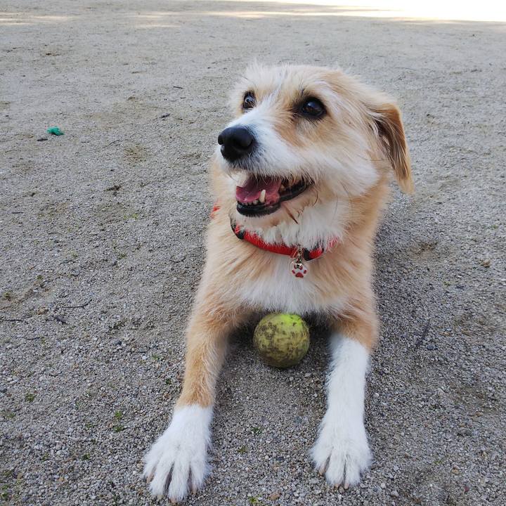 981c276f e9f7 4822 9fd4 92897a7599d3 1550468584271